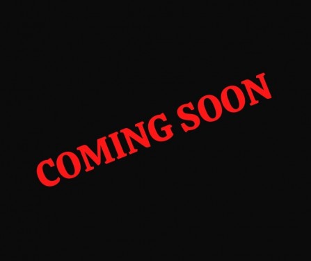 Ju-Lite 2 Horse Warm Blood Bumper Pull Horse Trailer Photo